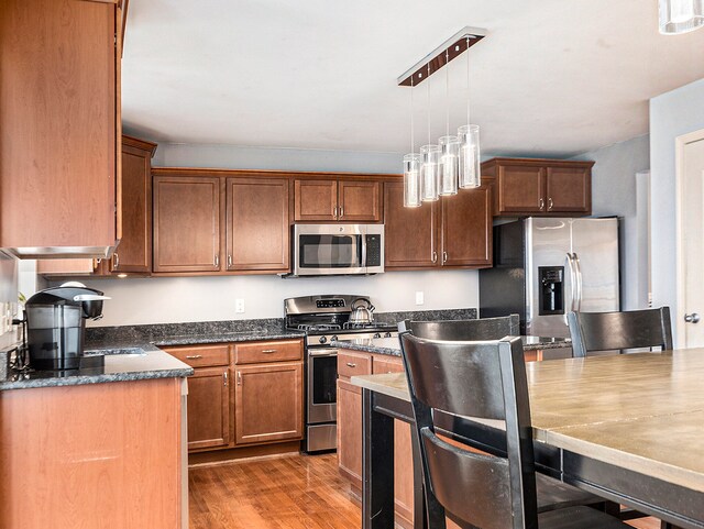 kitchen featuring light wood-type flooring, stainless steel appliances, and hanging light fixtures