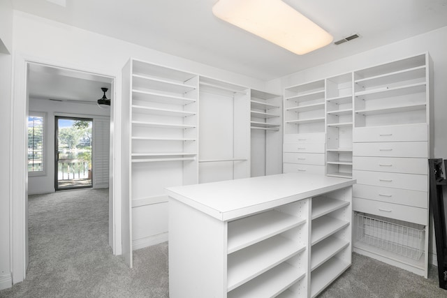 walk in closet featuring carpet floors and ceiling fan