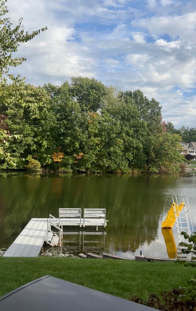 dock area with a water view