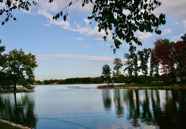 property view of water