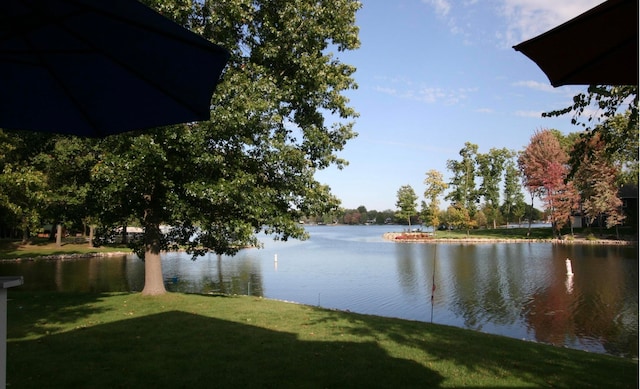 view of water feature