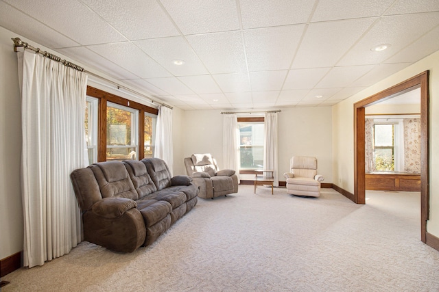 living room featuring a drop ceiling, plenty of natural light, and carpet