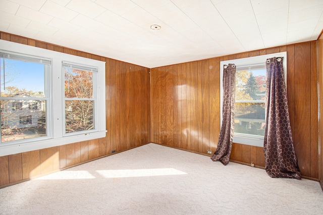 empty room with wooden walls and light colored carpet