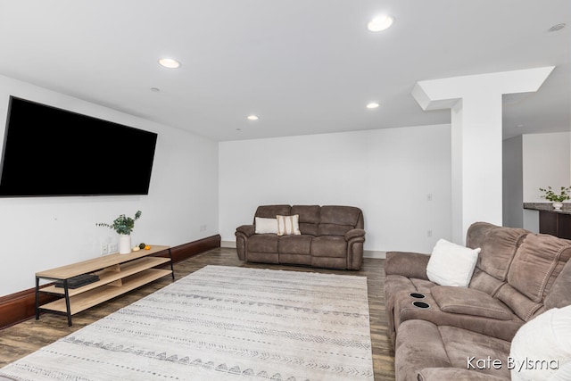 living room featuring wood-type flooring