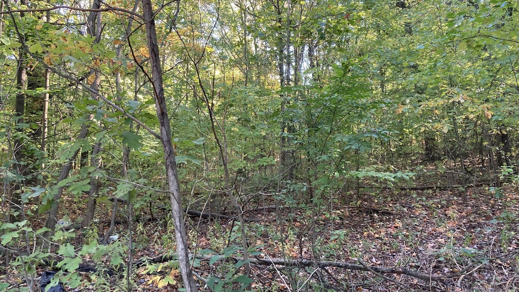 8th Ave, Grand Junction, MI 49056