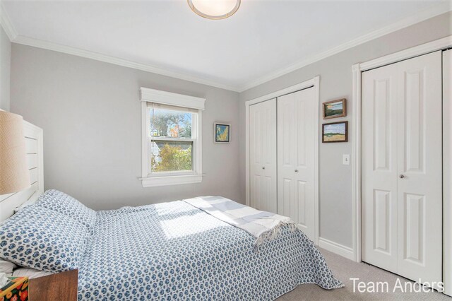 carpeted bedroom with two closets and crown molding