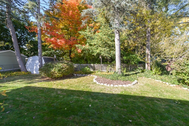 view of yard featuring a shed