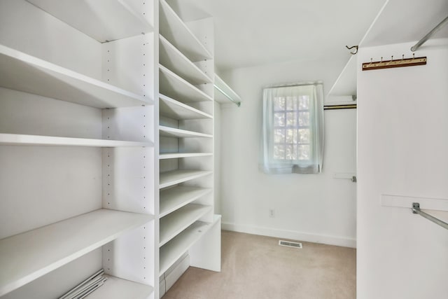 spacious closet featuring light colored carpet