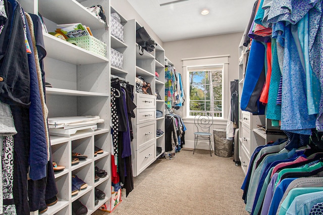 spacious closet with light colored carpet