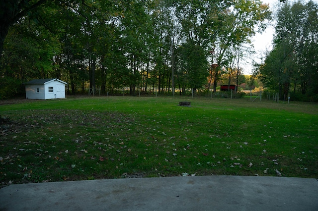 view of yard with a shed