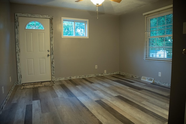 entryway with ceiling fan, hardwood / wood-style flooring, and a wealth of natural light