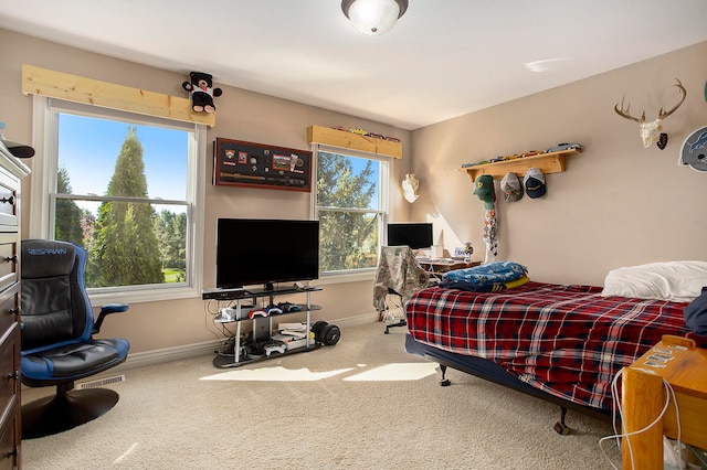 carpeted bedroom with multiple windows