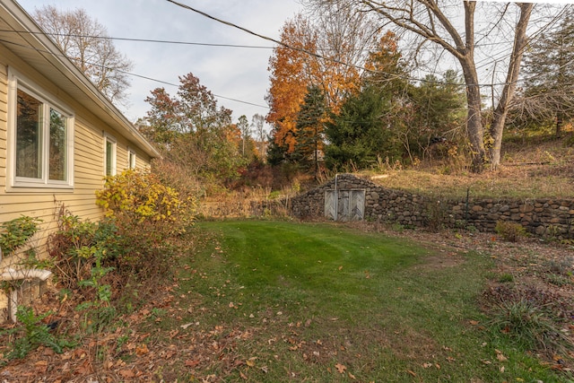 view of yard with a storage shed