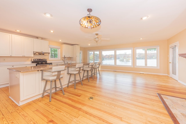 kitchen with light hardwood / wood-style floors, a healthy amount of sunlight, and white cabinets