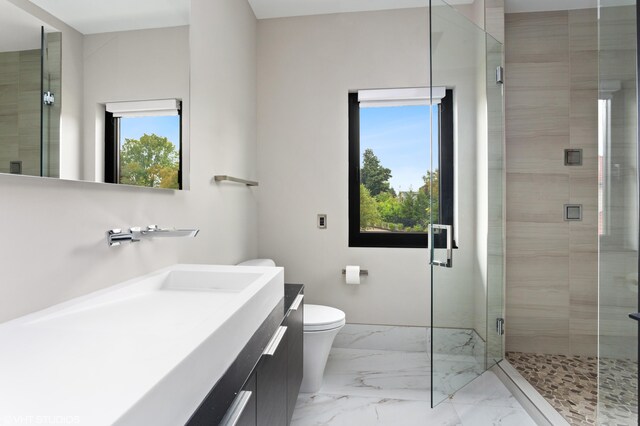 bathroom featuring plenty of natural light, a shower with door, vanity, and toilet