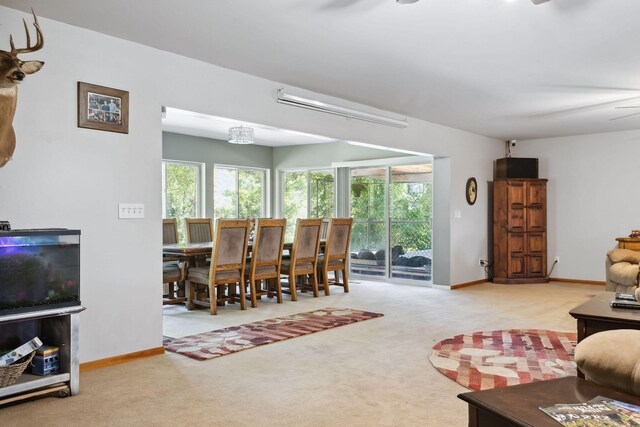 living room featuring ceiling fan and light colored carpet