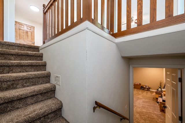 staircase featuring carpet floors