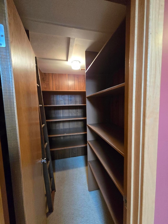 walk in closet with carpet