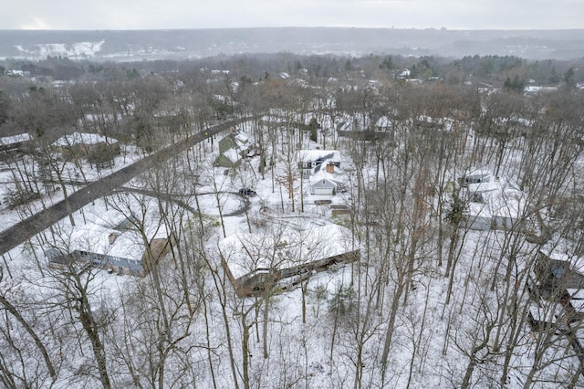 view of snowy aerial view