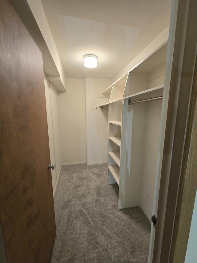 walk in closet with dark colored carpet