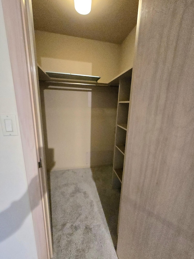 walk in closet with carpet flooring