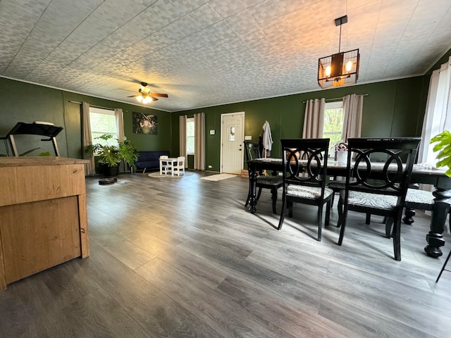 dining space with ceiling fan and dark hardwood / wood-style flooring