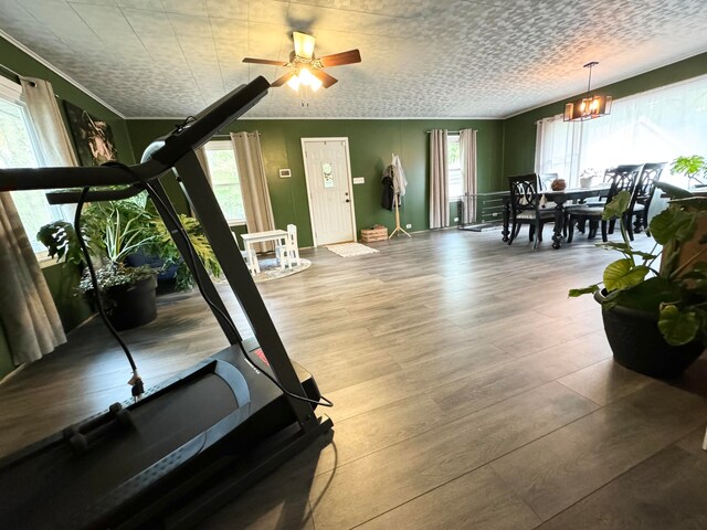 exercise area featuring wood-type flooring and ceiling fan with notable chandelier