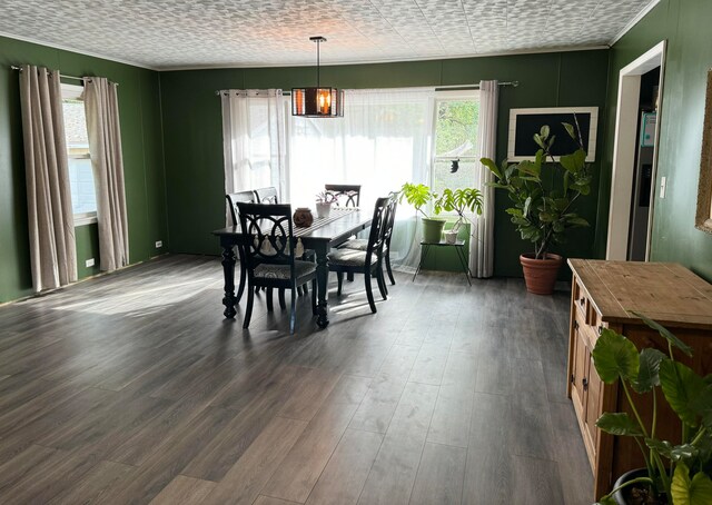 dining area with dark hardwood / wood-style flooring