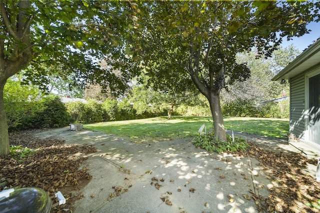 view of yard featuring a patio area