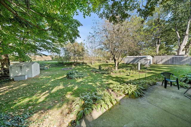 view of yard with a patio area and a shed