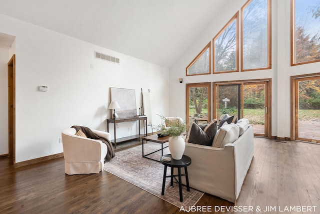 living room featuring high vaulted ceiling and dark hardwood / wood-style floors