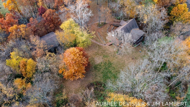 bird's eye view