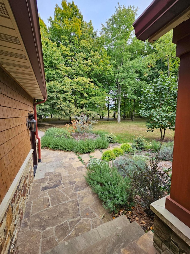 view of yard featuring a patio