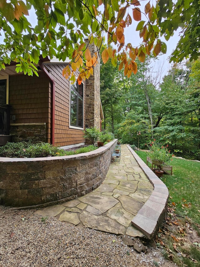 view of yard with a patio