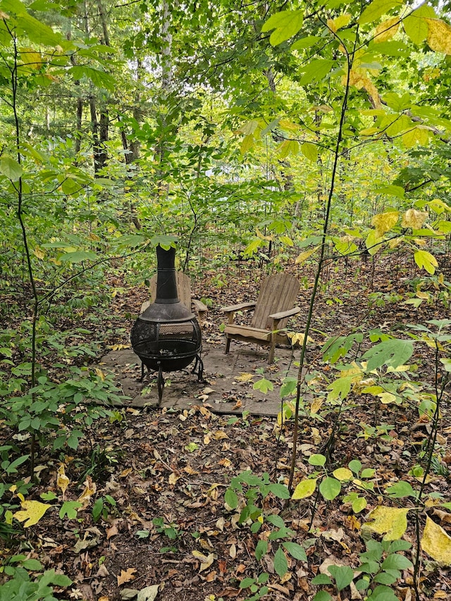 details featuring a wood stove