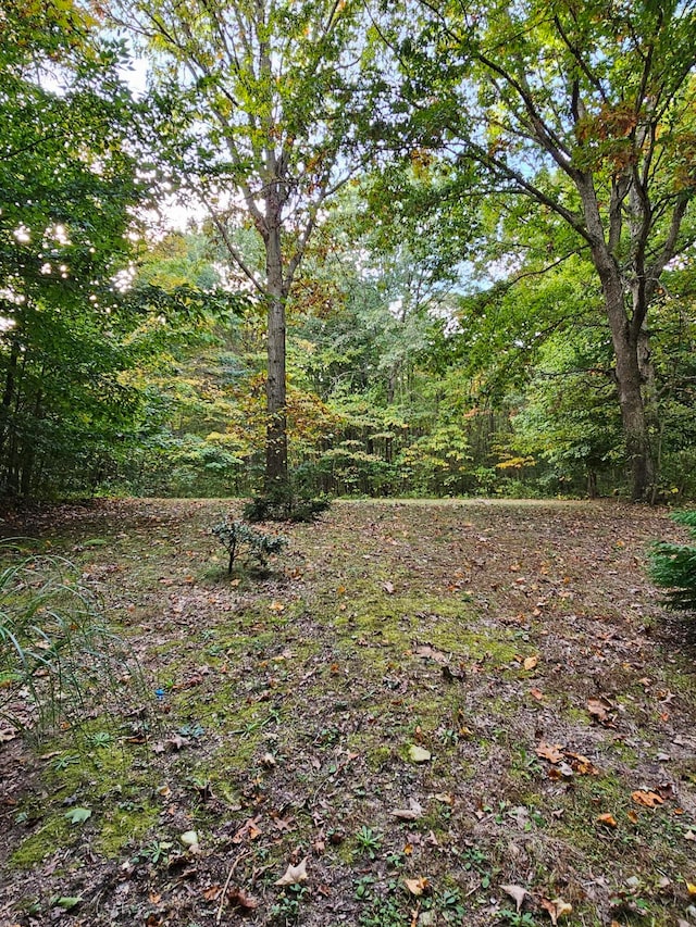 view of local wilderness