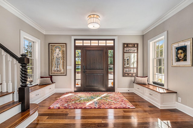 foyer with crown molding, dark wood-type flooring, and a healthy amount of sunlight