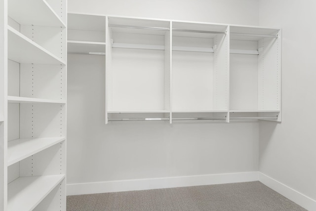 spacious closet with carpet