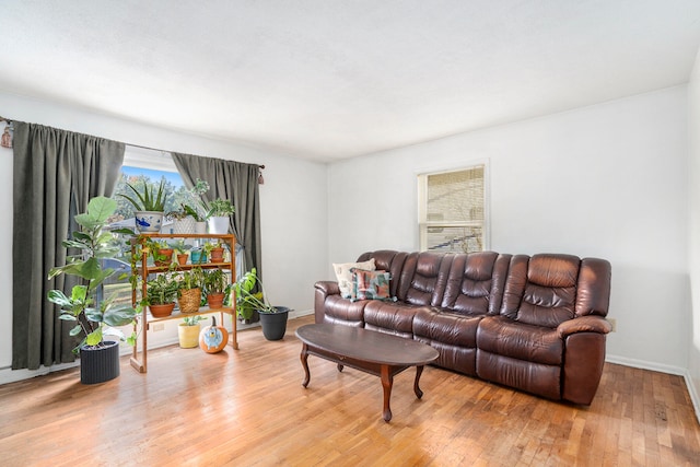 living room featuring light hardwood / wood-style floors