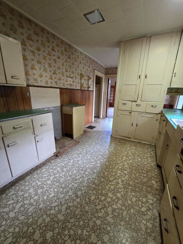 kitchen with wooden walls