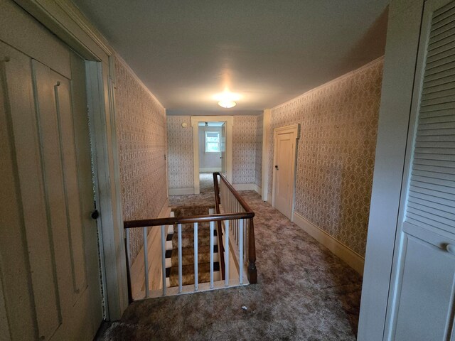 corridor with carpet and ornamental molding