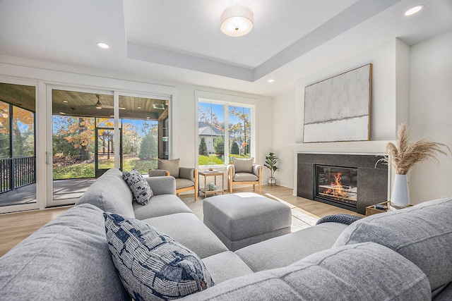 living room with light hardwood / wood-style floors and a raised ceiling