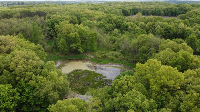 16460 15 Mile Rd, Marshall, MI 49068 - photo 58