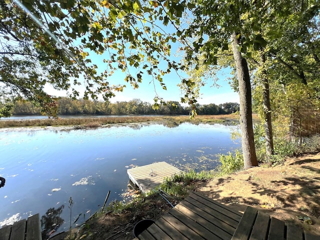 dock area with a water view