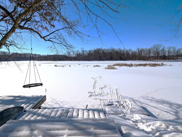 view of snowy yard