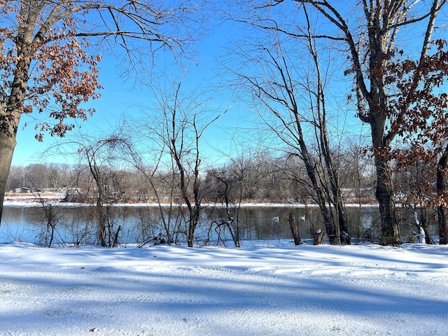 view of snowy yard