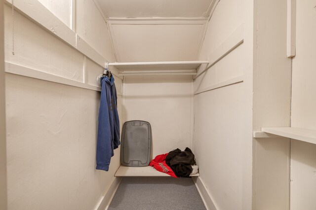 walk in closet with carpet