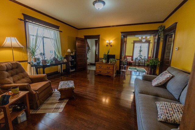 living room featuring crown molding and dark wood-type flooring