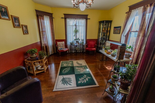 living area with dark wood-type flooring, a notable chandelier, and a wealth of natural light