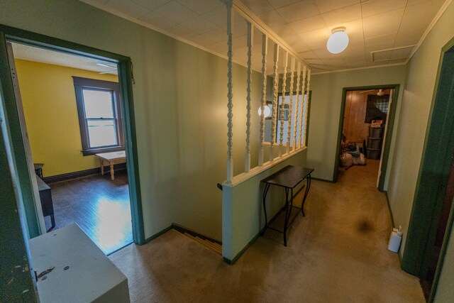 corridor featuring ornamental molding and carpet